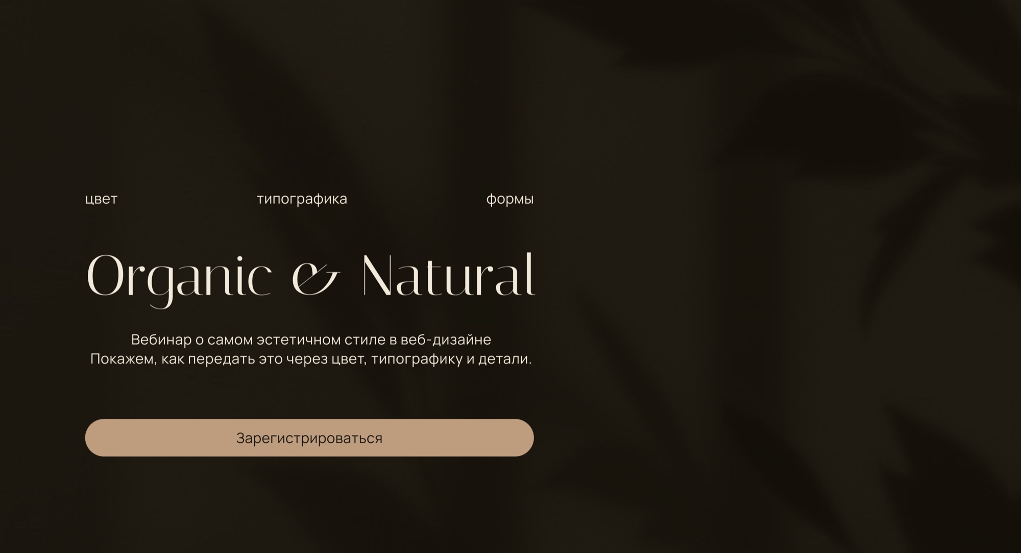 Hero лендинга Organic & Natural